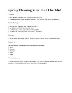 Spring Cleaning Your Roof Checklist